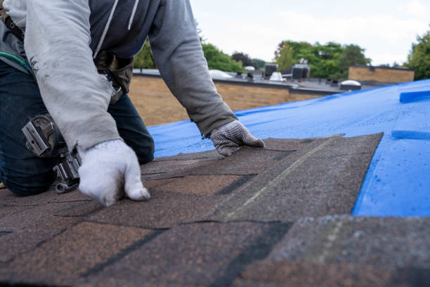 Best Roof Maintenance Services  in Columbia City, IN