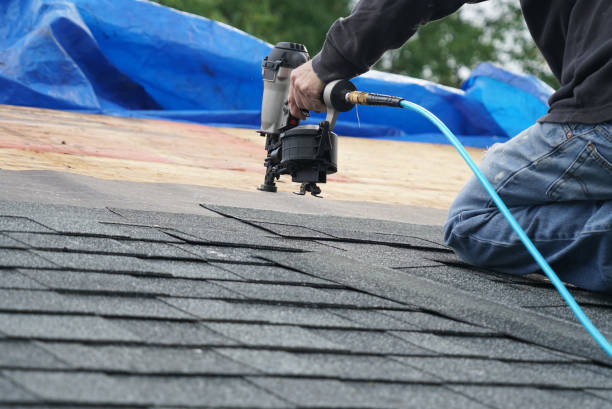 Best Shingle Roofing Installation  in Columbia City, IN